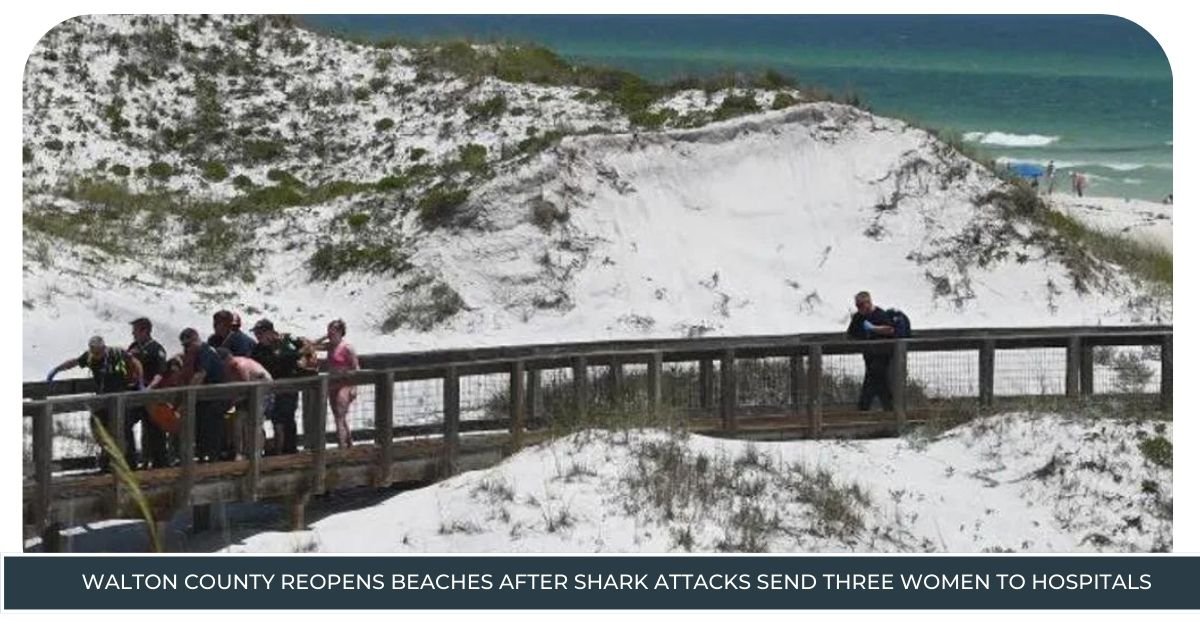 Walton County Reopens Beaches After Shark Attacks Send Three Women to Hospitals